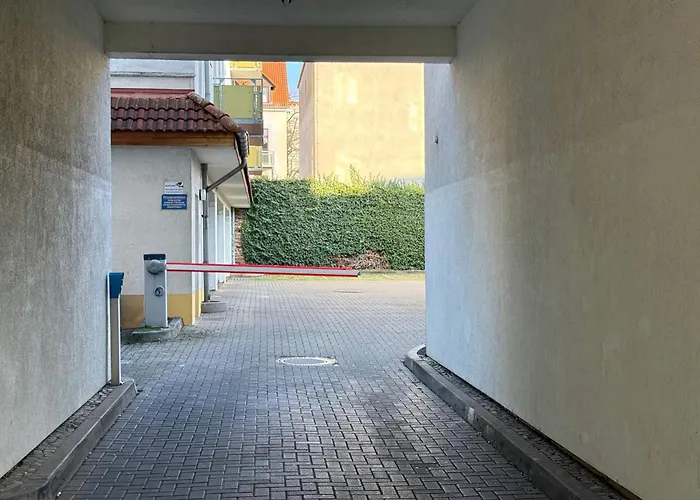 Cozy Jungle Fever - Modernes Apartment Mit Eigenem Parkplatz